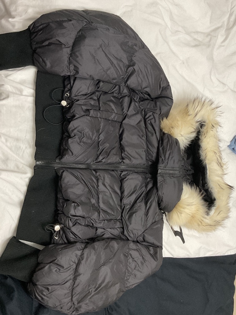 Black winter coat with ivory fur